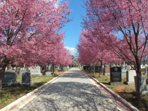 Historic Congressional Cemetery