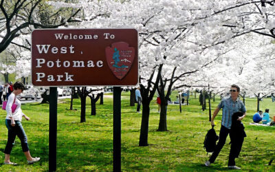 West Potomac Park