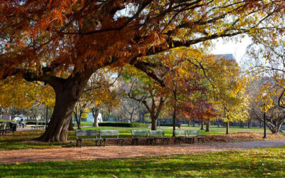 Lafayette Park